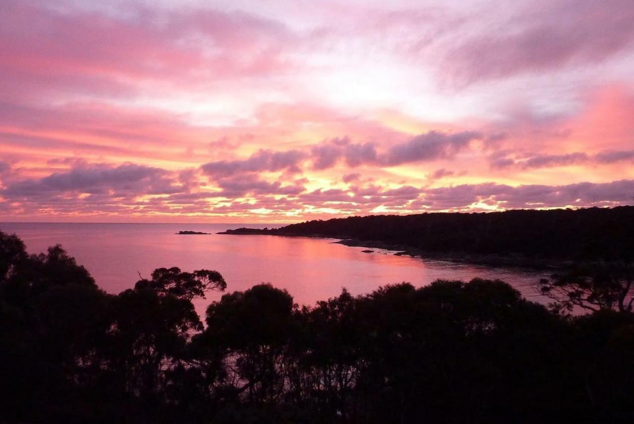 The Loft @ Bay Of Fires Seascape Apartment Binalong Bay ภายนอก รูปภาพ