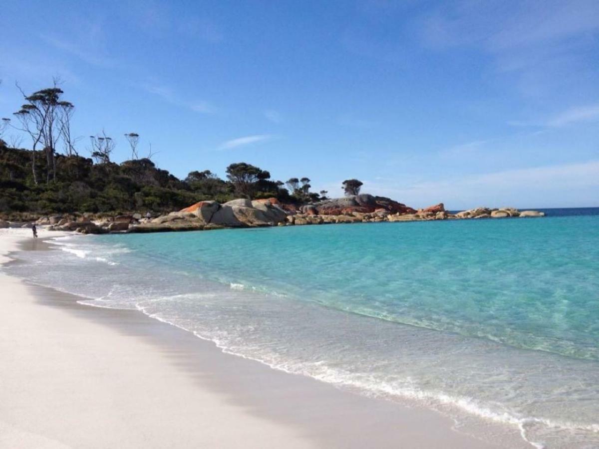 The Loft @ Bay Of Fires Seascape Apartment Binalong Bay ภายนอก รูปภาพ