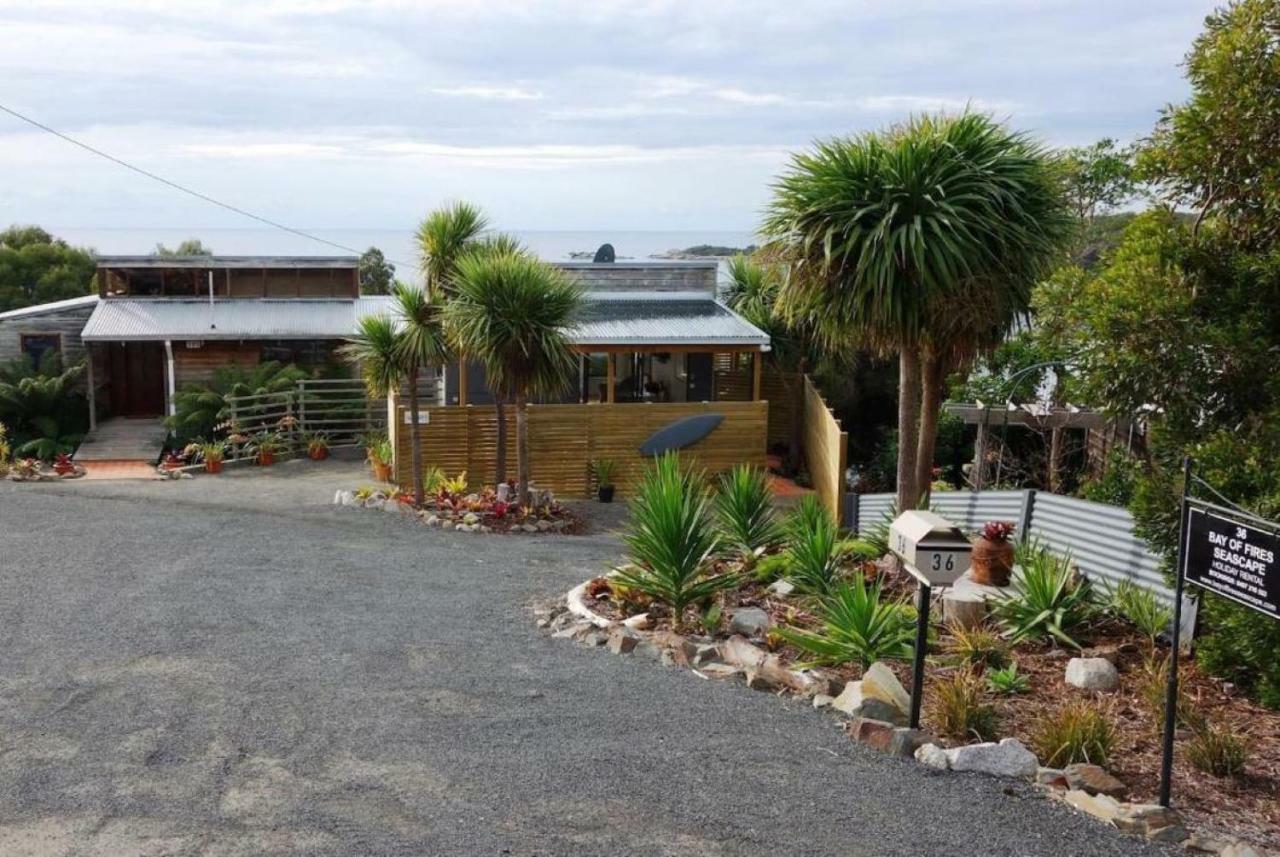 The Loft @ Bay Of Fires Seascape Apartment Binalong Bay ภายนอก รูปภาพ